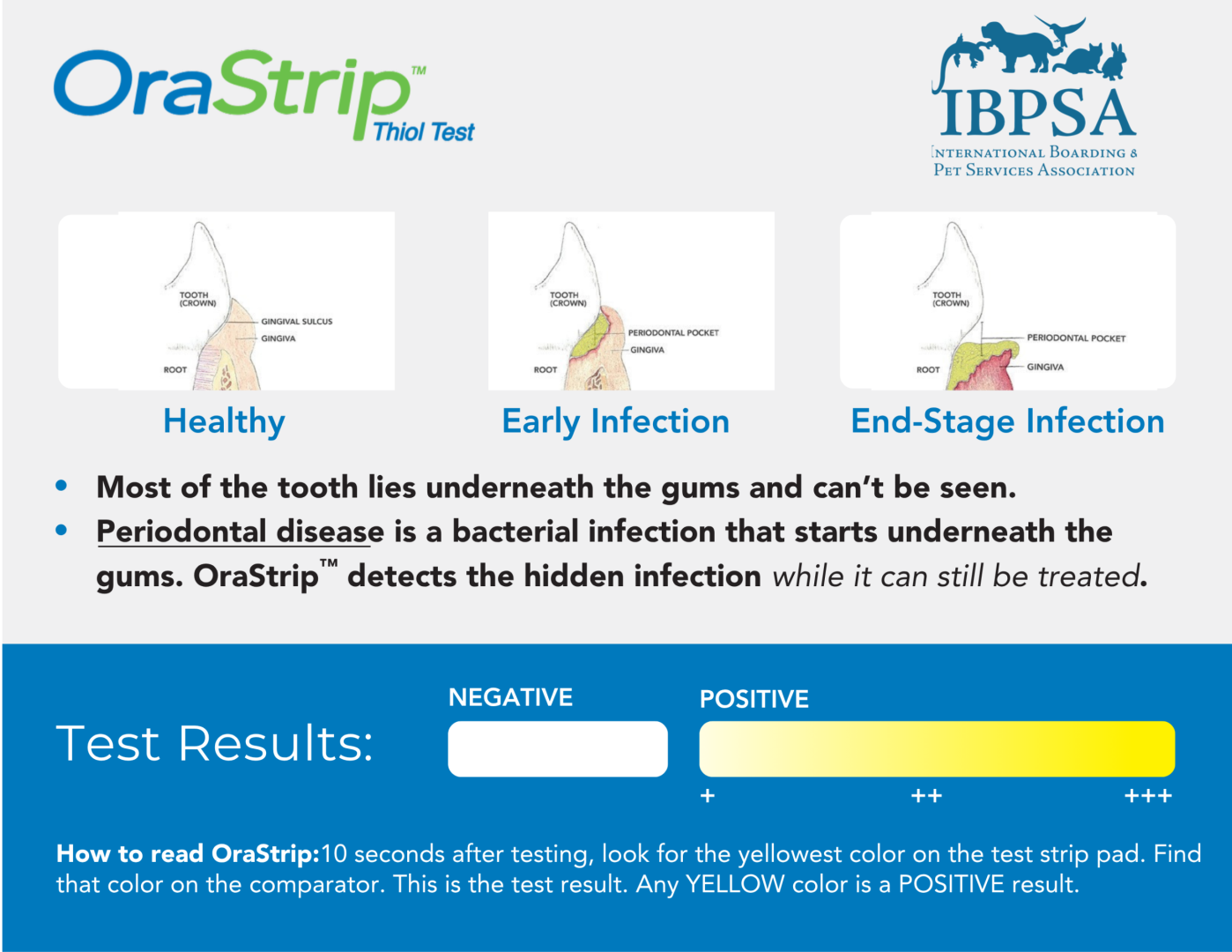 OraStrip Thiol Test - Image 3